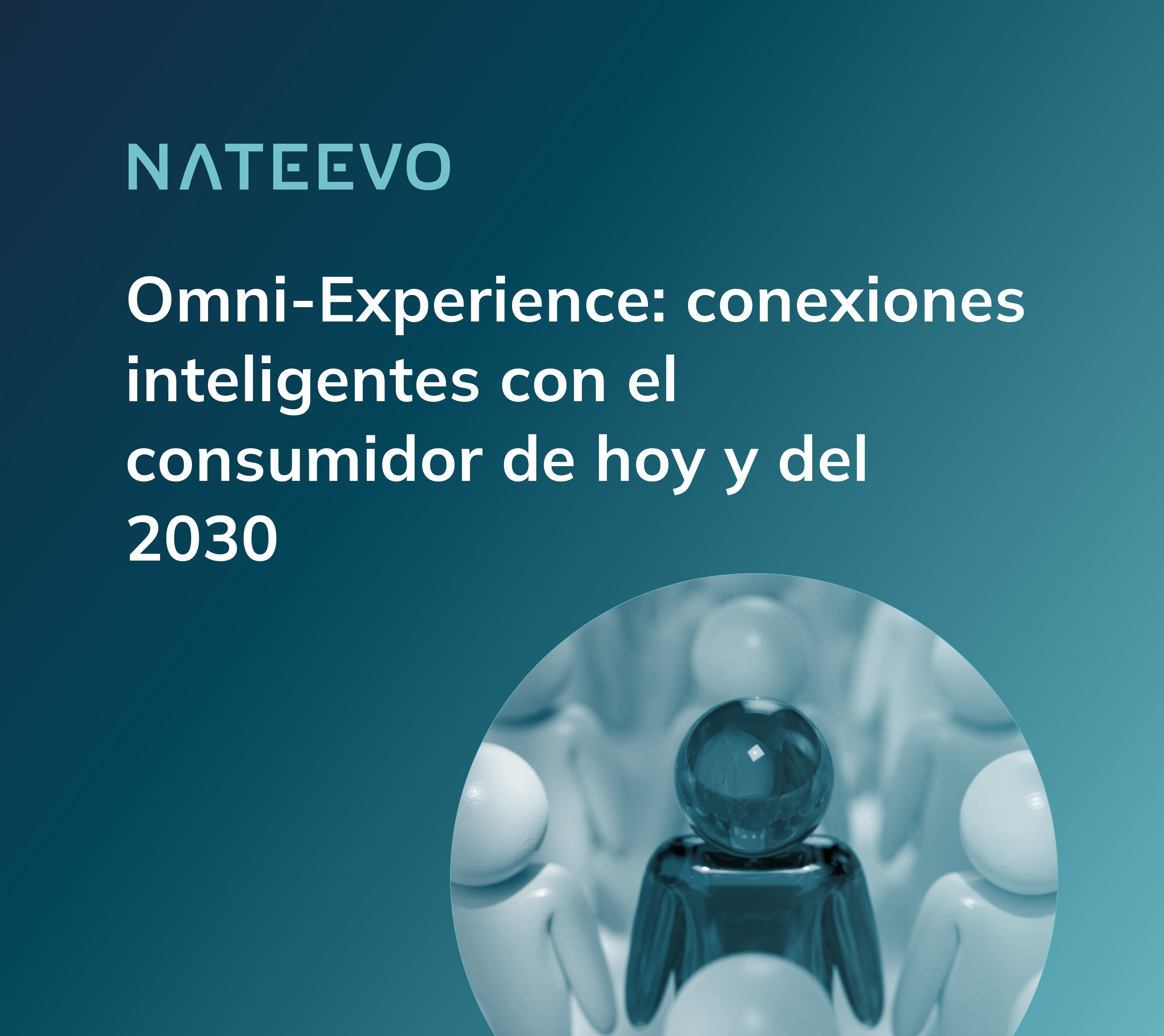 Omni-Experience:...