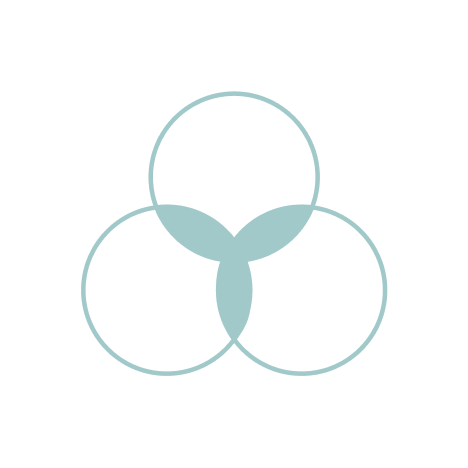 Una sencilla ilustración de tres círculos superpuestos de color azul claro forma un diagrama de Venn sobre un fondo gris claro, que simboliza la intersección de ideas en el Diseño de Experiencias con tres superposiciones en forma de almendra en el centro.